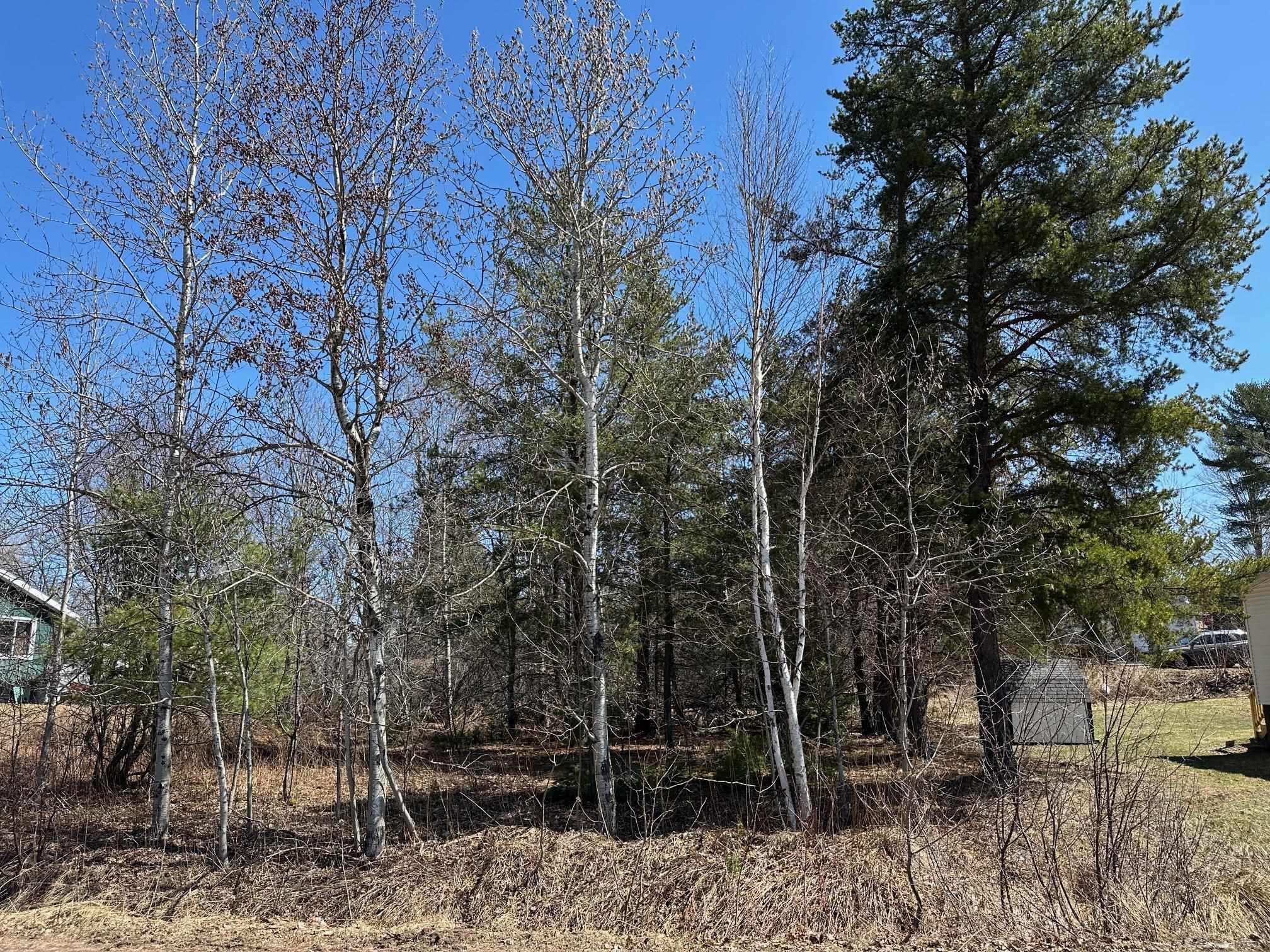 175 Gold Street Ishpeming, MI 49849 - Photo 3 of 5