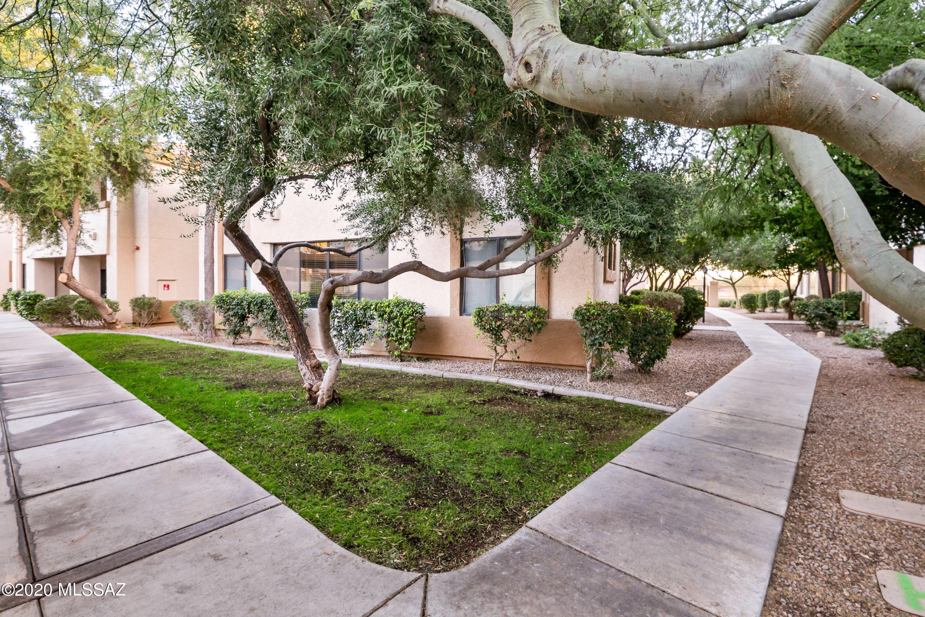 2550 East River Road, Unit 12203 Tucson, AZ 85718 - Photo 3 of 28