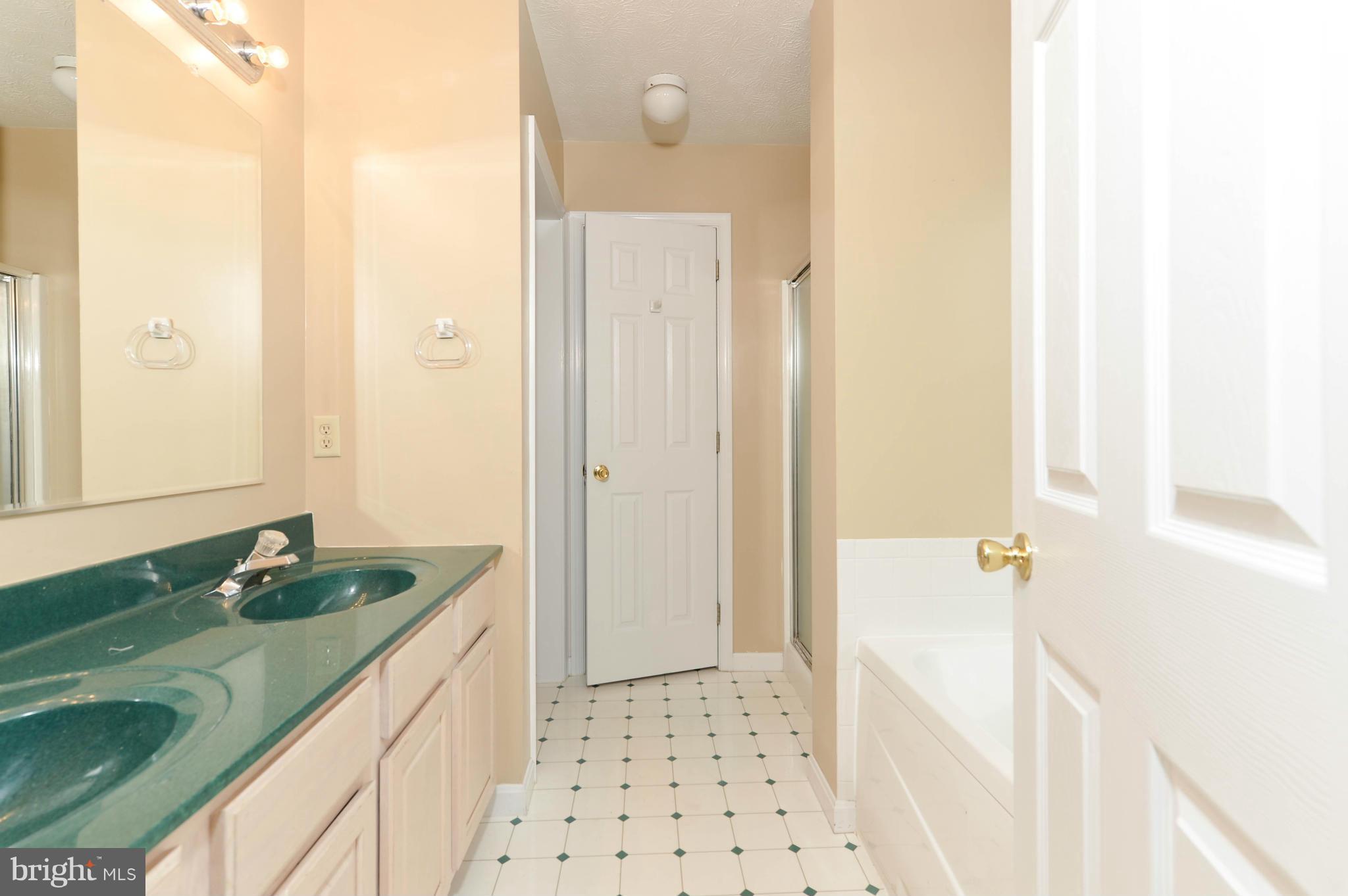 104 Little Brick Court Rising Sun, MD 21911 - Photo 14 of 22 GARDEN TUB