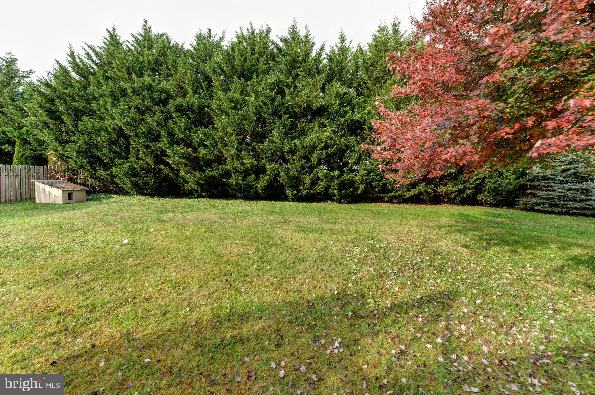 104 Little Brick Court Rising Sun, MD 21911 - Photo 22 of 22 QUIET BACK YARD