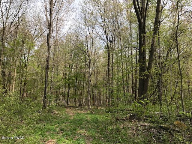 143 White Birch Road Moscow, PA 18444 - Photo 3 of 11