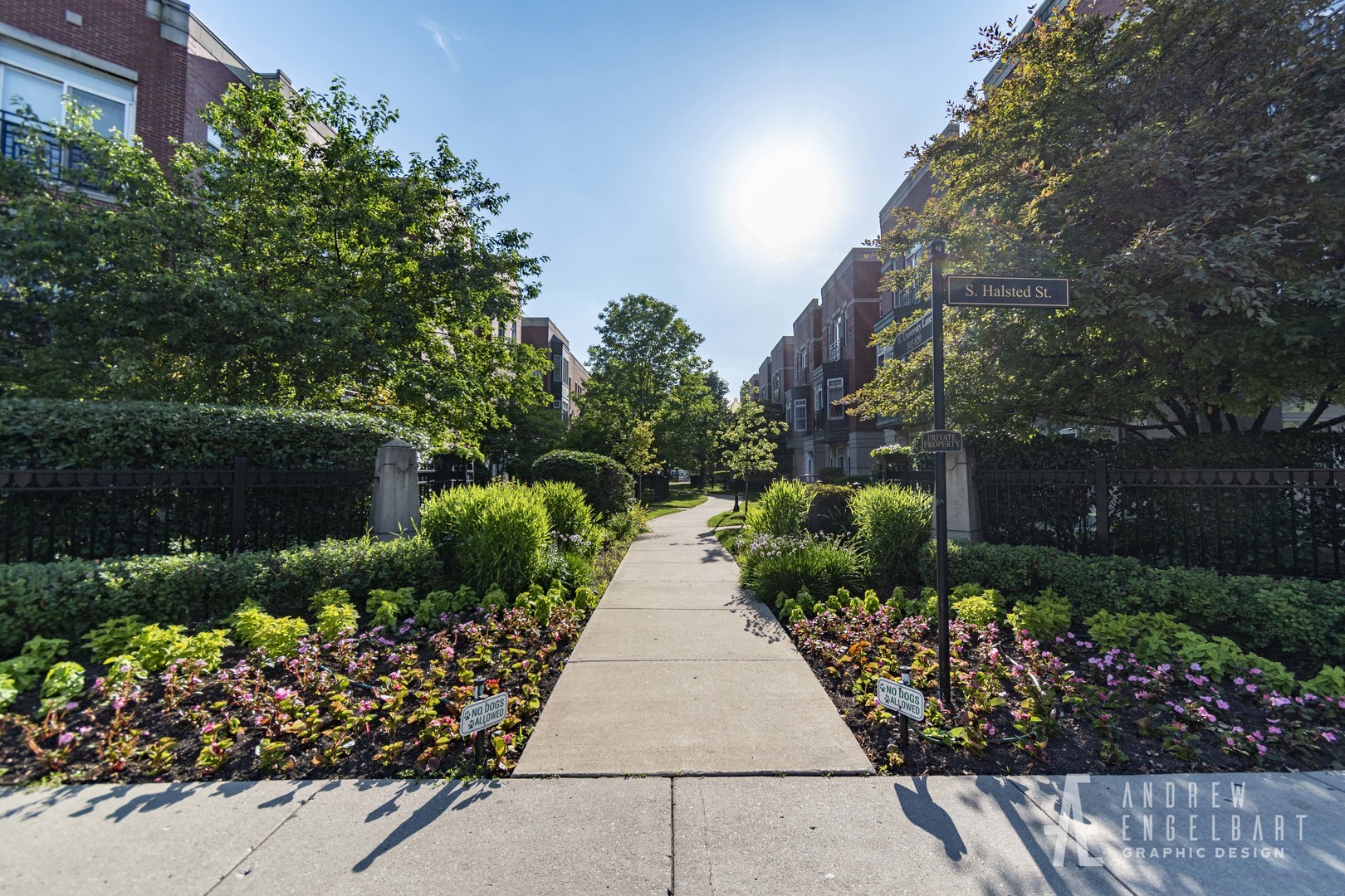 910 West Village Court Chicago, IL 60608 - Photo 34 of 44 a view of a garden with flowers and flowers