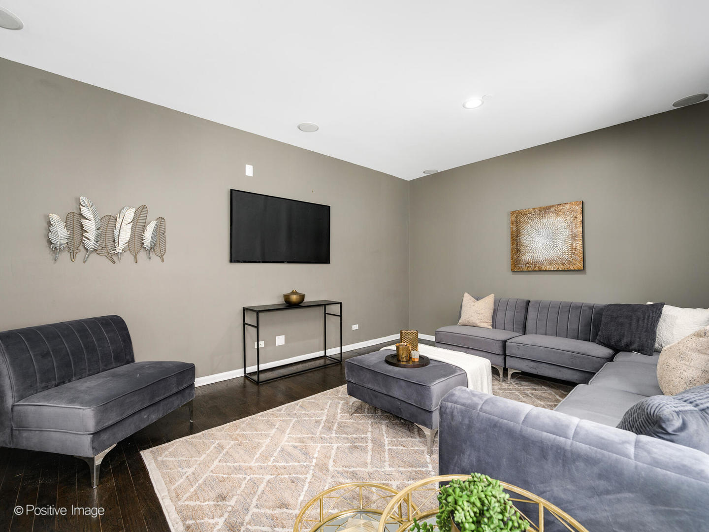 910 West Village Court Chicago, IL 60608 - Photo 6 of 44 a living room with furniture and a flat screen tv