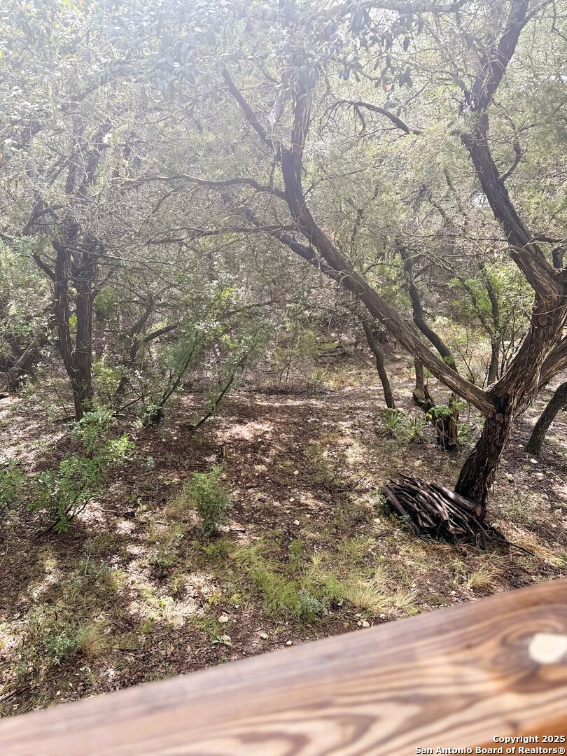 186 Lakeview Road Lakehills, TX 78063 - Photo 25 of 26