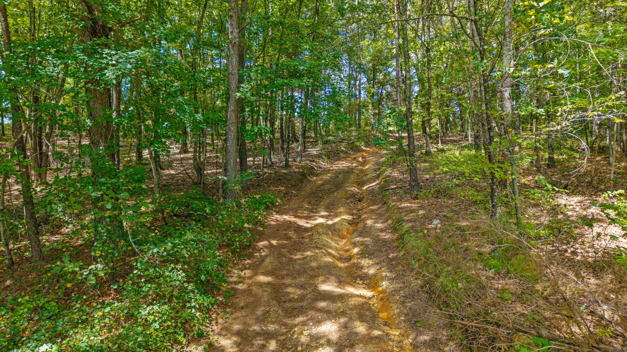 1627 Wasson Road Ten Mile, TN 37880 - Photo 6 of 13