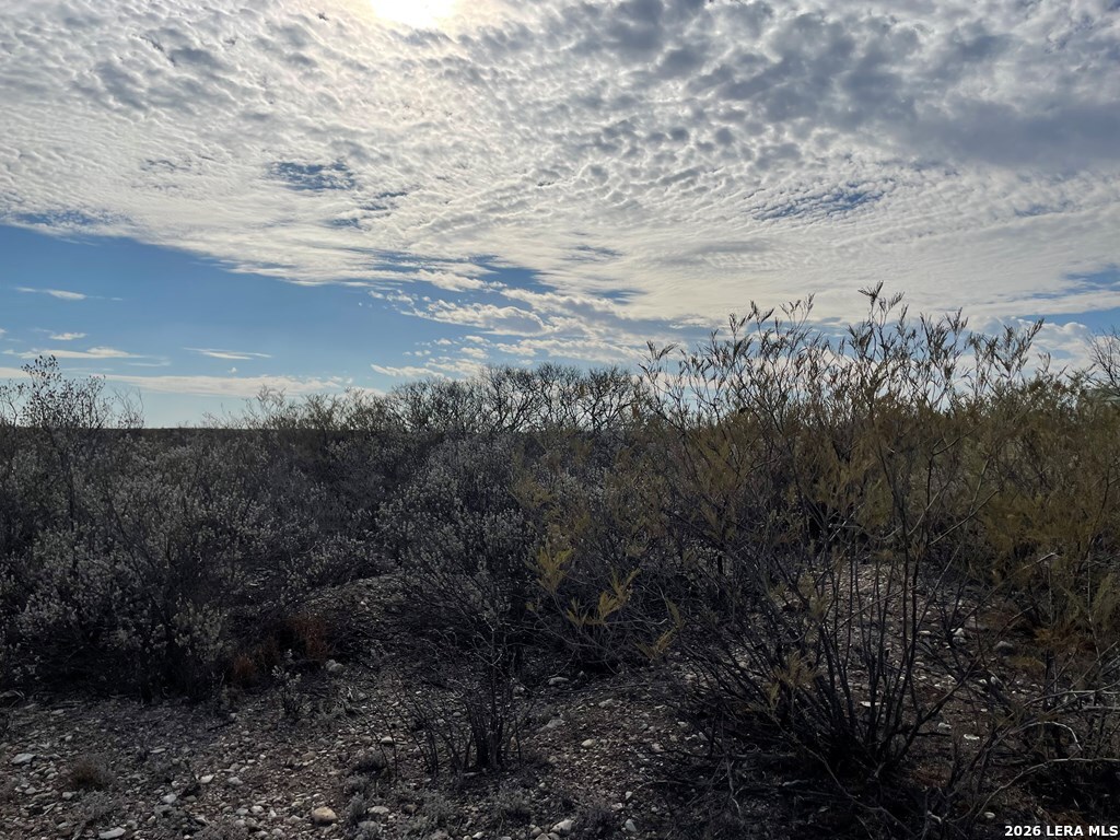 1292 Venado Grande Road Eagle Pass, TX 78852 - Photo 7 of 13