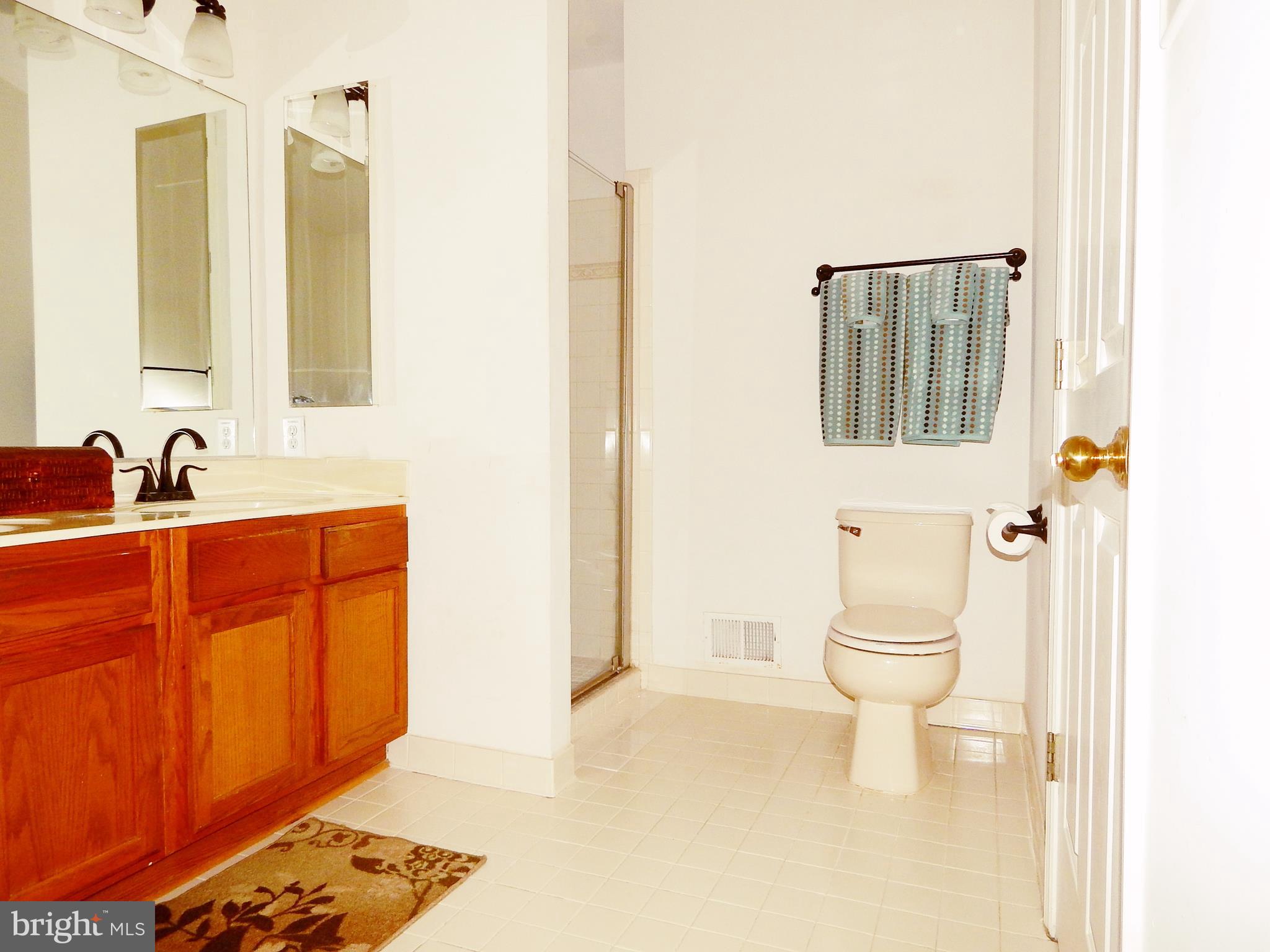 3322 Pouska Road Abingdon, MD 21009 - Photo 23 of 39 Owner's Private Bath w/ Sep Shower!