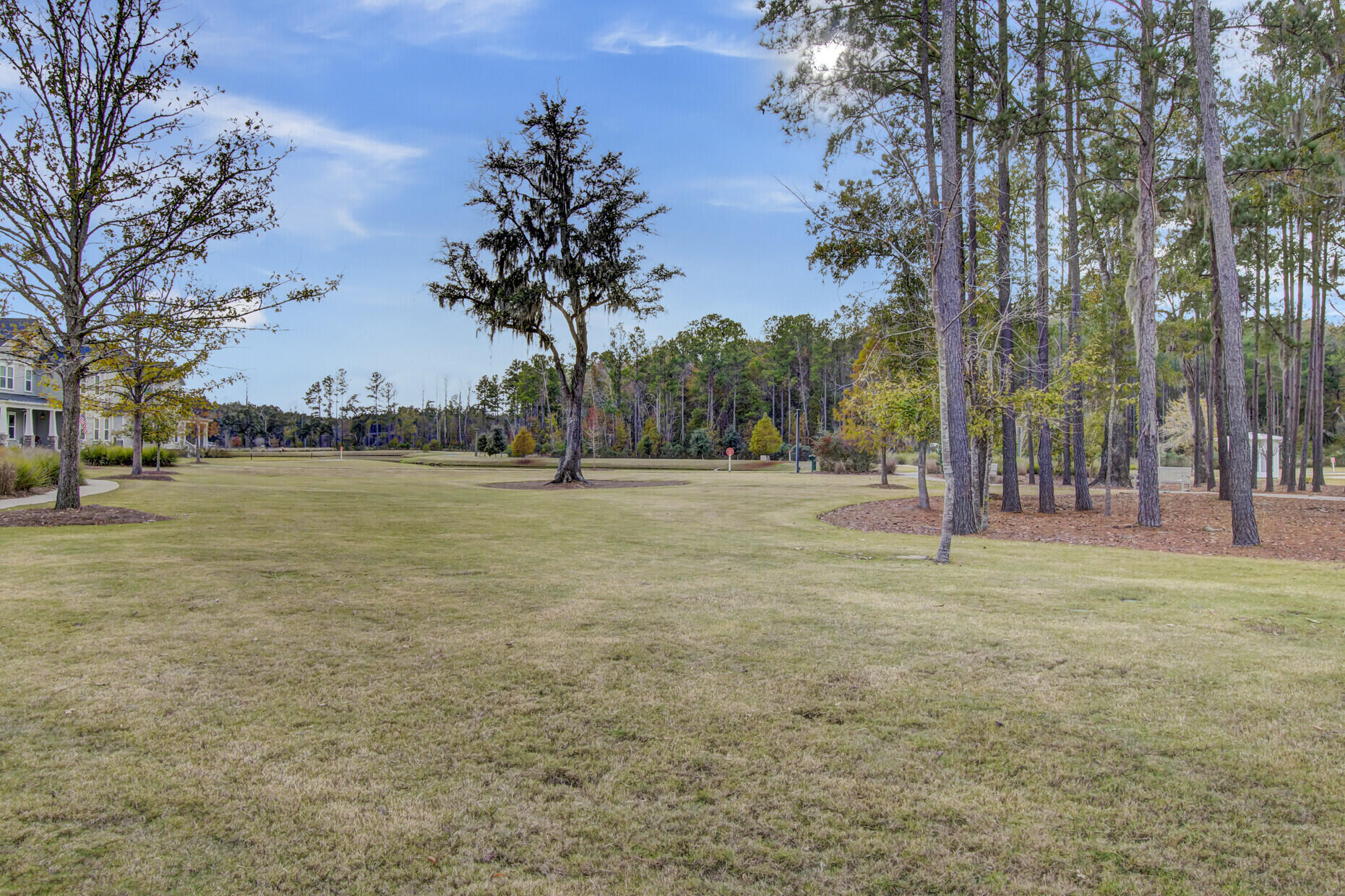 1025 Fitzgerald Court Ridgeville, SC 29472 - Photo 91 of 116 (91)