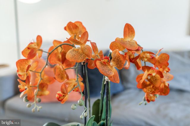 $1,595,000 | 4 Wagner Street, Annapolis, MD 21401