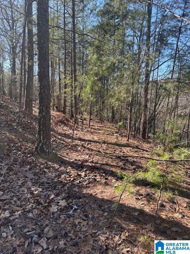 1 Mountain Top Road, Unit 1 Trussville, AL 35173 - Photo 14 of 17