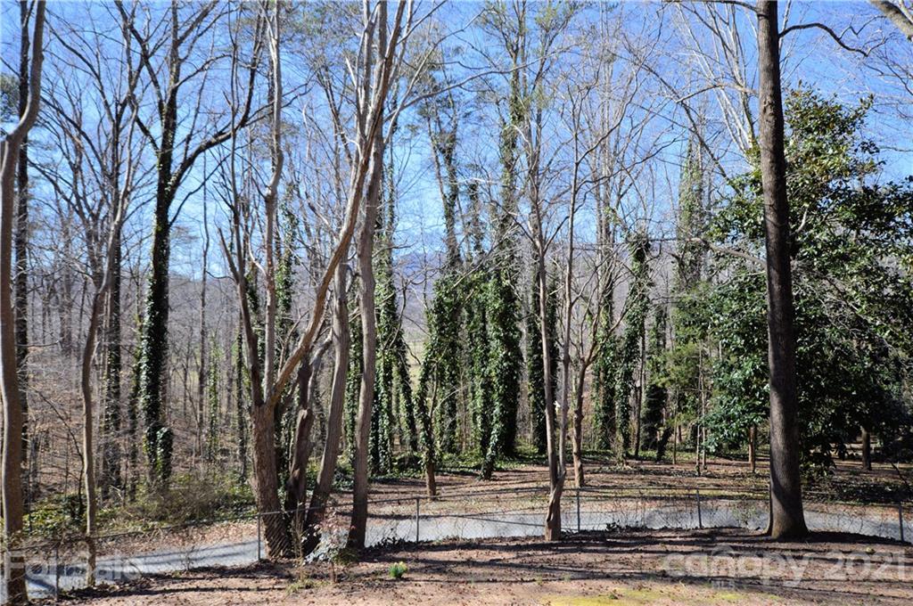 200 Bradshaw Road Tryon, NC 28782 - Photo 21 of 24 a view of a park that has large trees