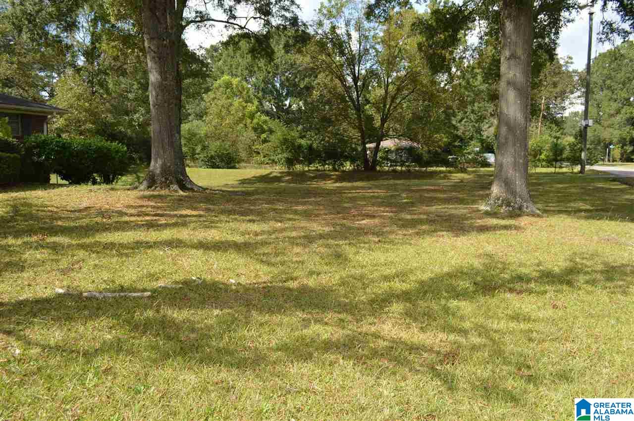 3217 Poplar Lane Adamsville, AL 35005 - Photo 19 of 23