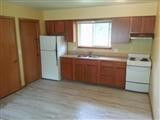 3623 Inverness Street Dexter, MI 48130 - Photo 5 of 10