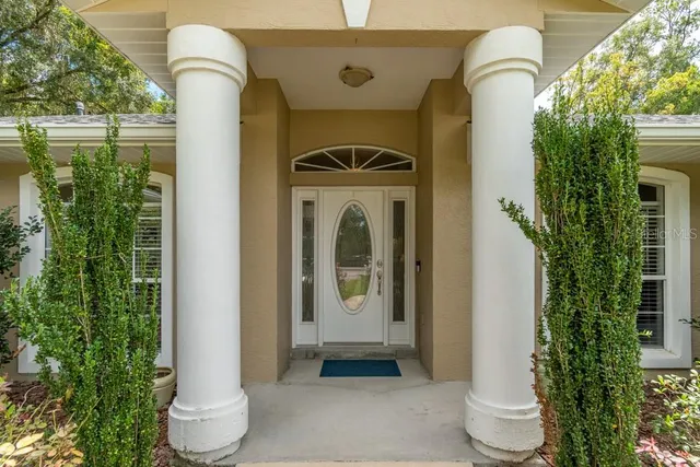 a aerial view of a house with yard and large trees