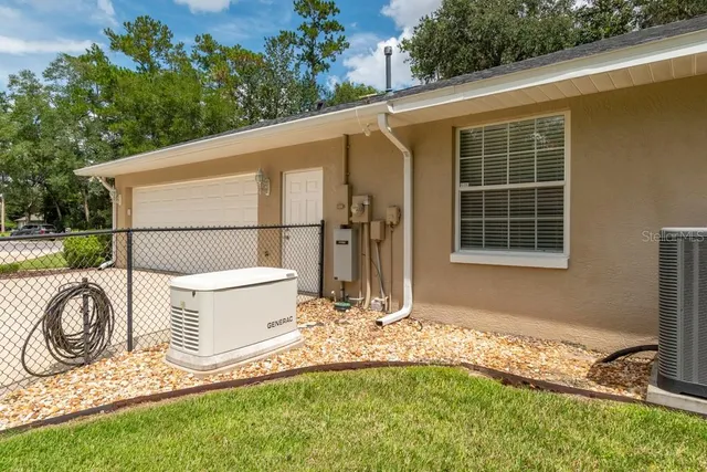 a view of a backyard with plants and large trees