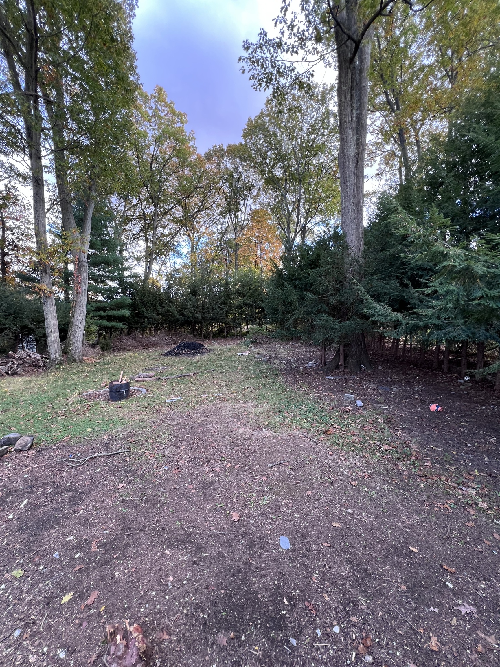 92 Birch Lane Naugatuck, CT 06770 - Photo 16 of 17 a view of a yard with trees