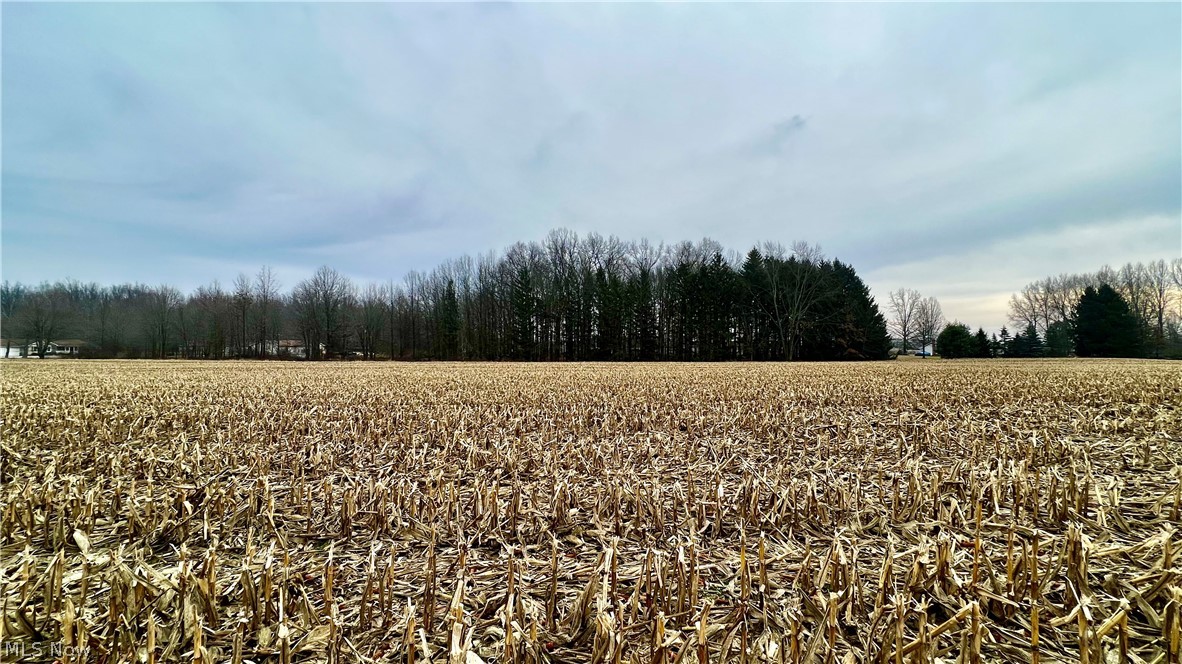 V/l2 Laubert Road Atwater, OH 44201 - Photo 6 of 11