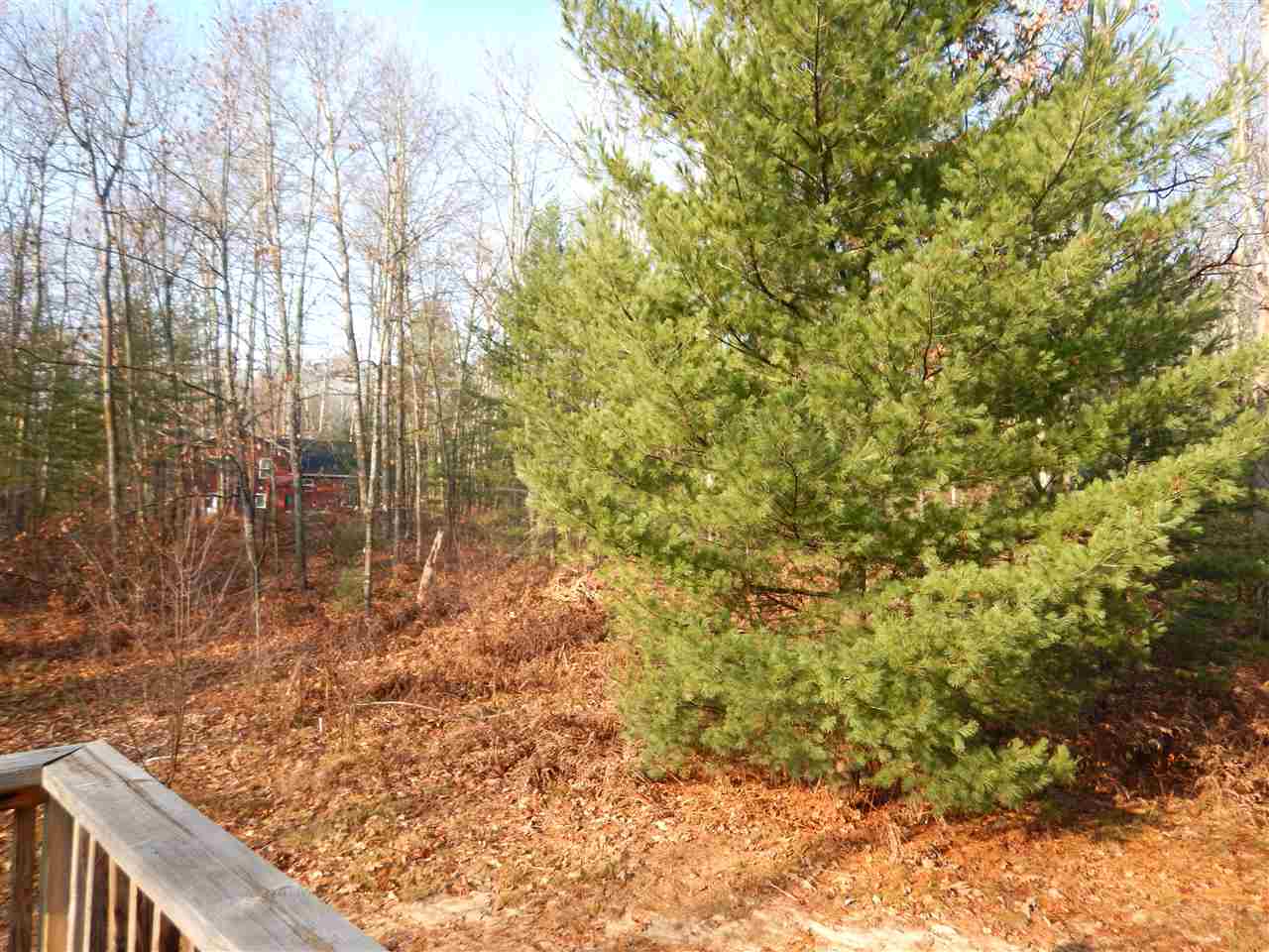 1842 Round Lake Road Interlochen, MI 49643 - Photo 42 of 49 1808768-41.JPG
