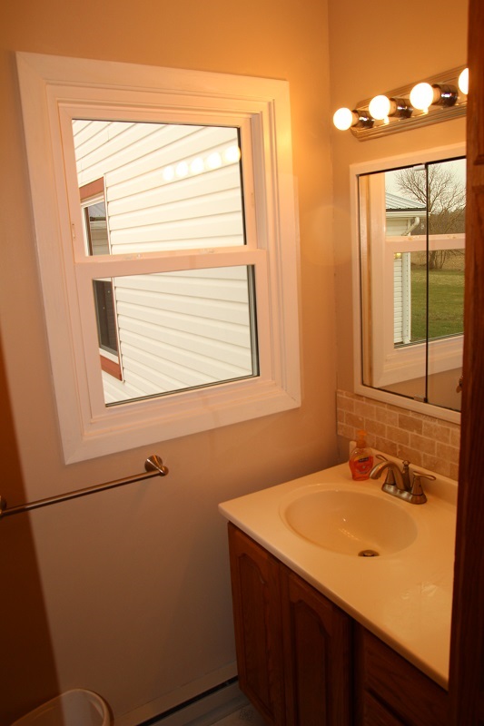 7685 Edson Road Capron, IL 61012 - Photo 5 of 23 a bathroom with a sink vanity and a mirror