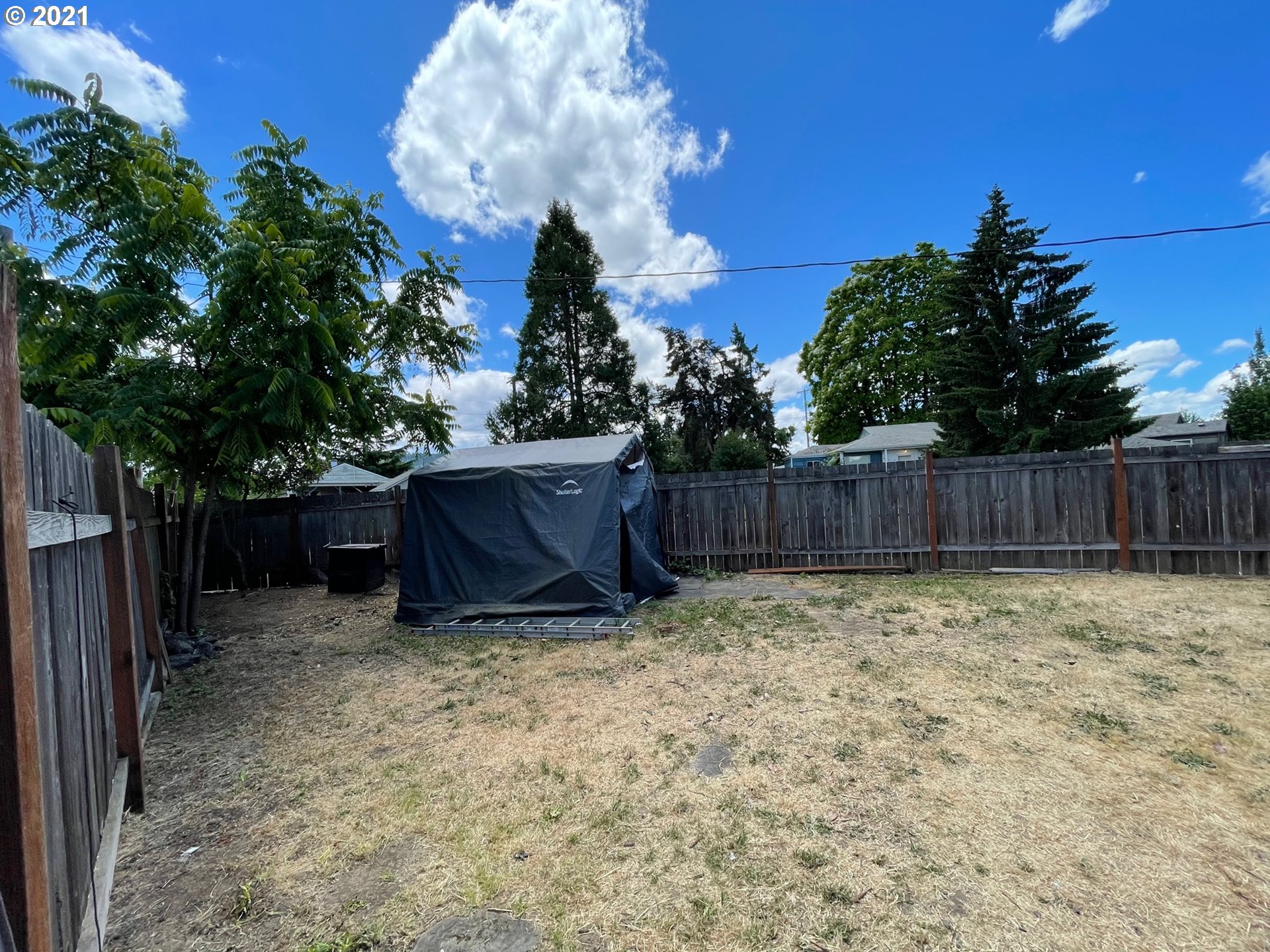 808 19th Street Springfield, OR 97477 - Photo 9 of 10