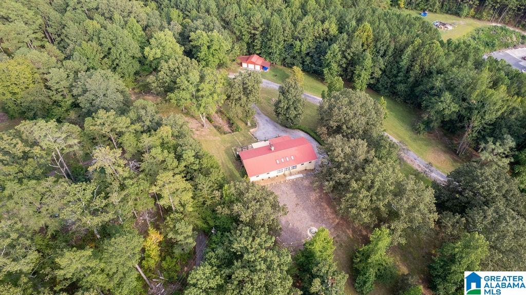 56230 North Highway 231 Oneonta, AL 35121 - Photo 4 of 62