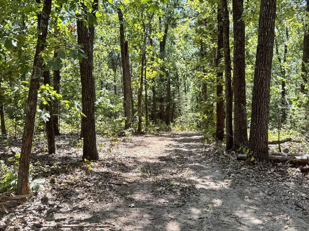 0 Southeast 871 Road Collins, MO 64738 - Photo 11 of 26 11