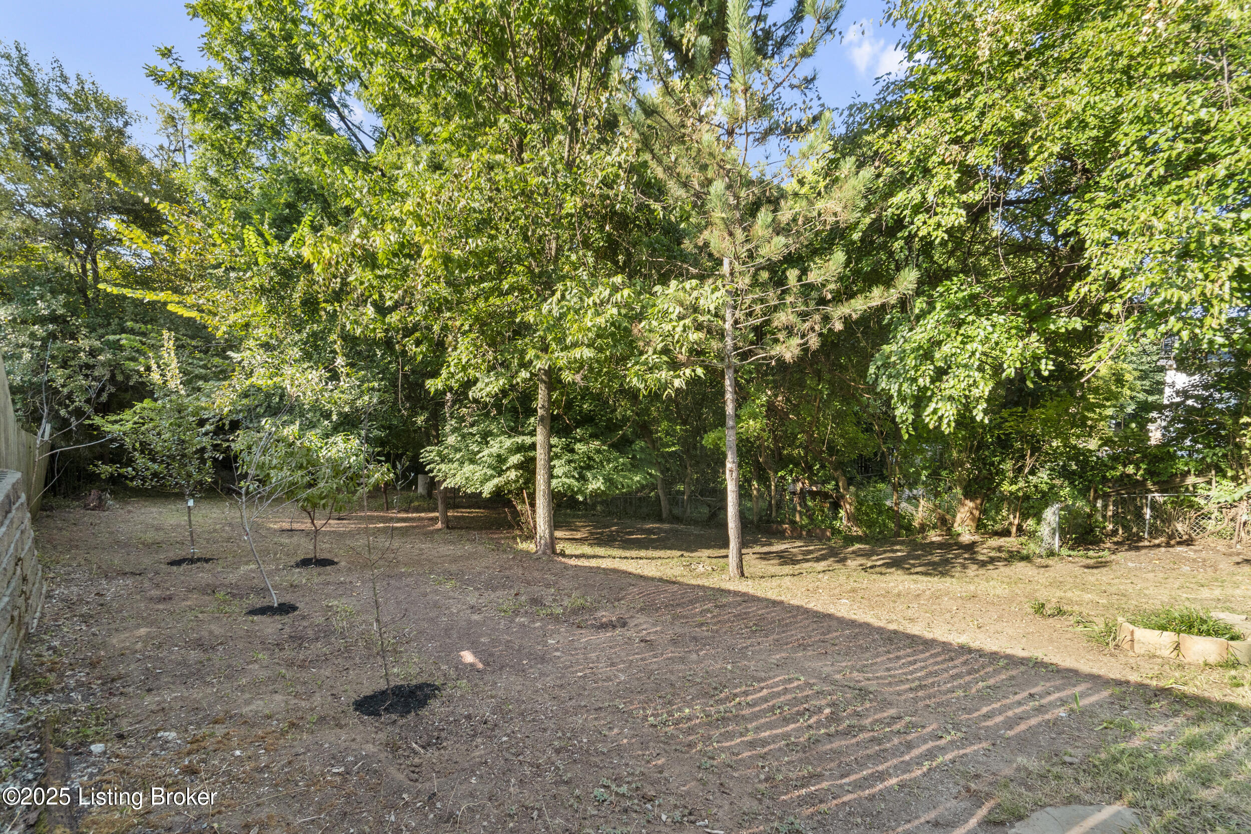 3031 University Road Louisville, KY 40206 - Photo 34 of 49 dsc03649
