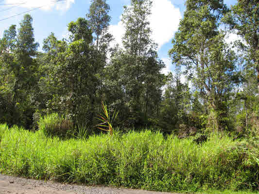 83 Forest Road Pahoa, HI 96778 - Photo 2 of 3