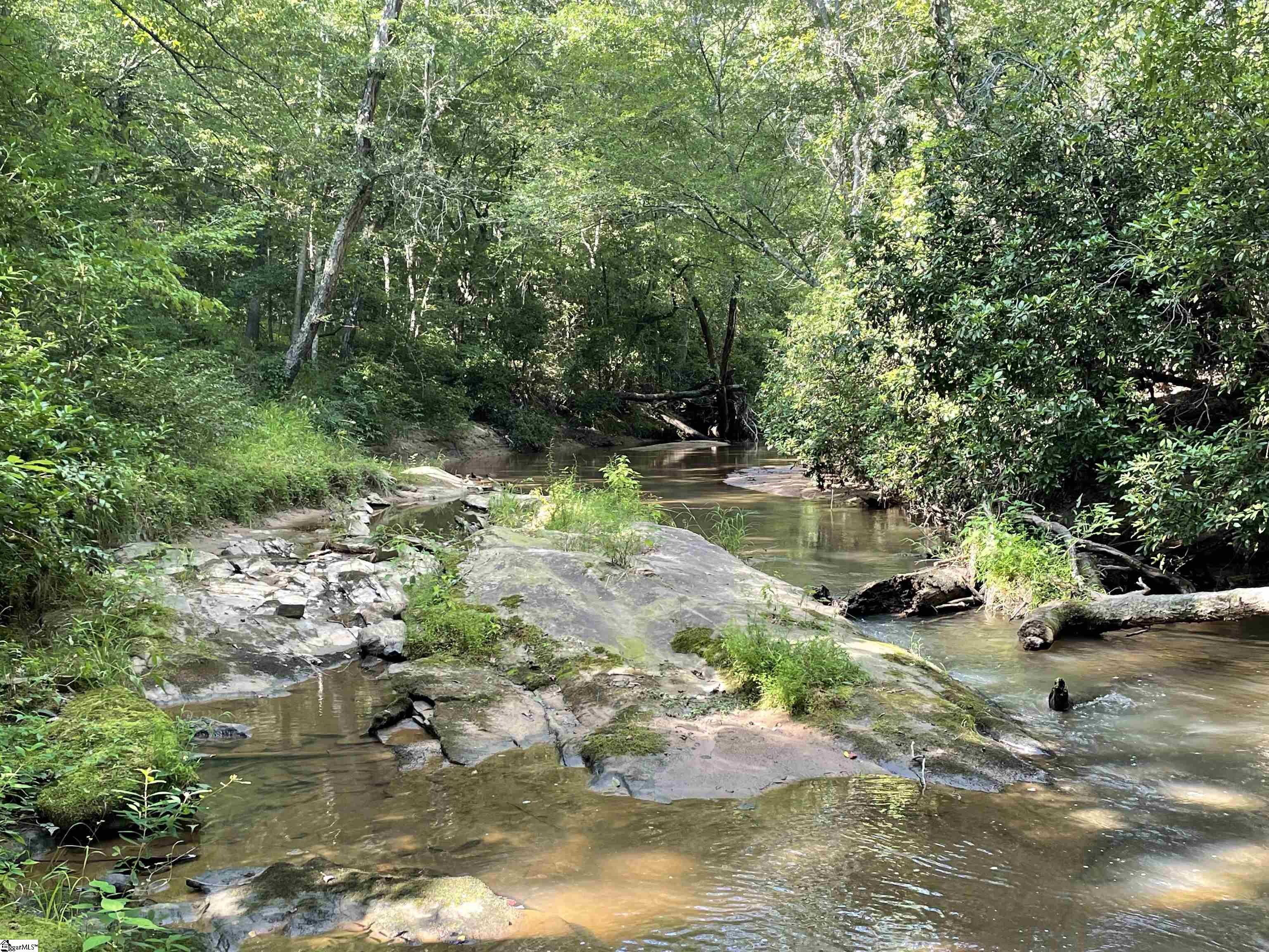 0 Mountain Creek Road Honea Path, SC 29654 - Photo 17 of 30