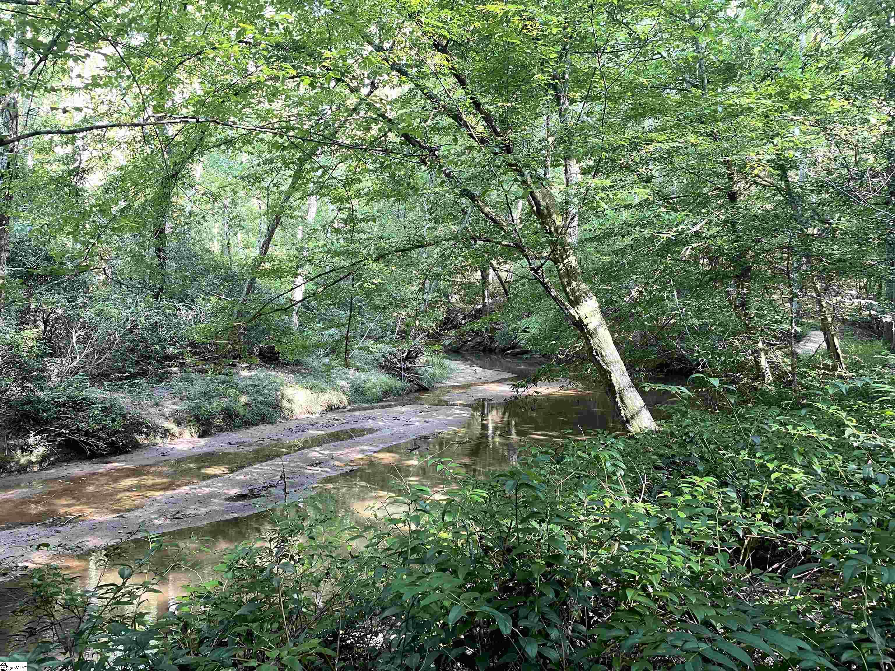 0 Mountain Creek Road Honea Path, SC 29654 - Photo 18 of 30
