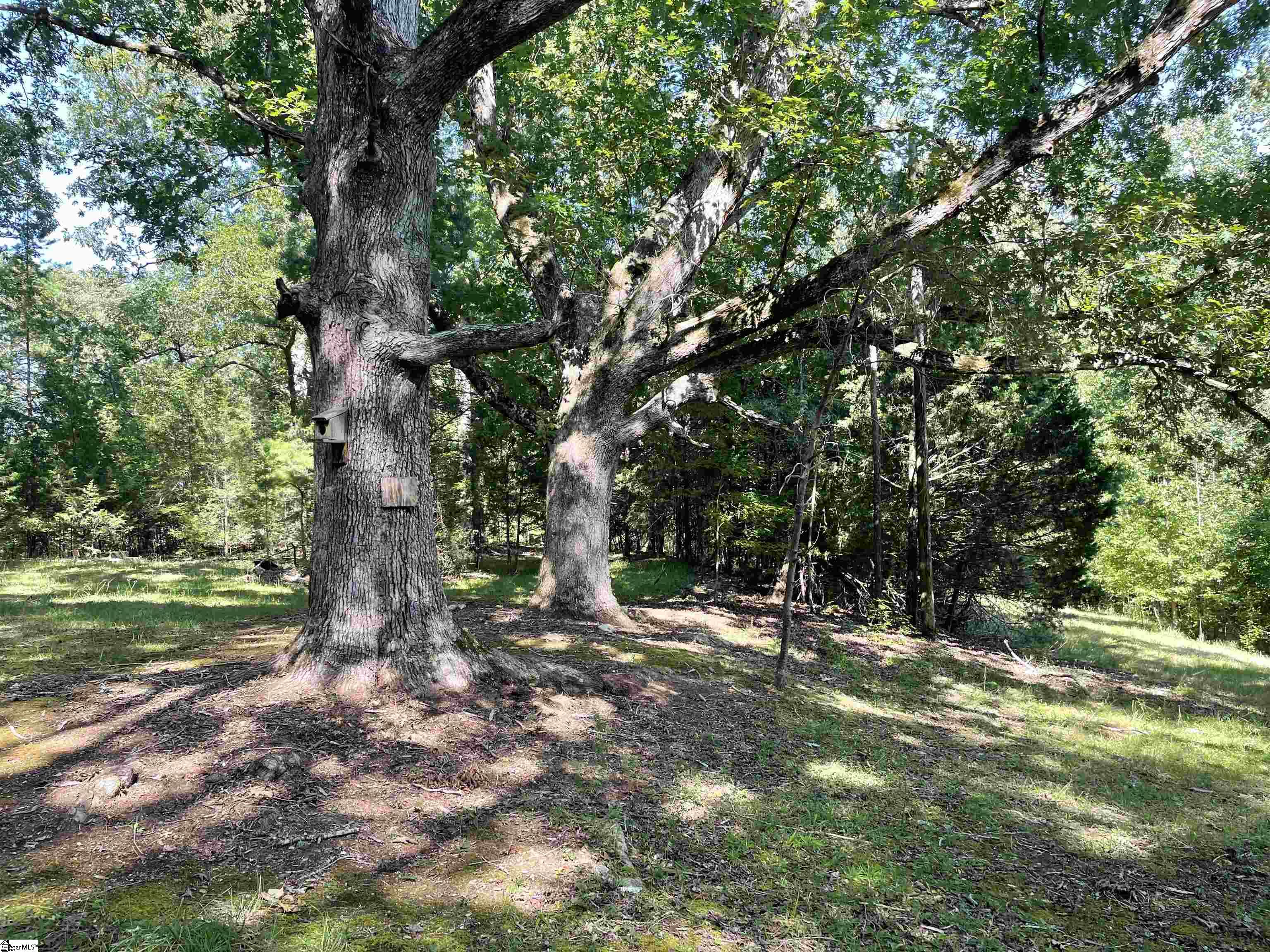 0 Mountain Creek Road Honea Path, SC 29654 - Photo 5 of 30
