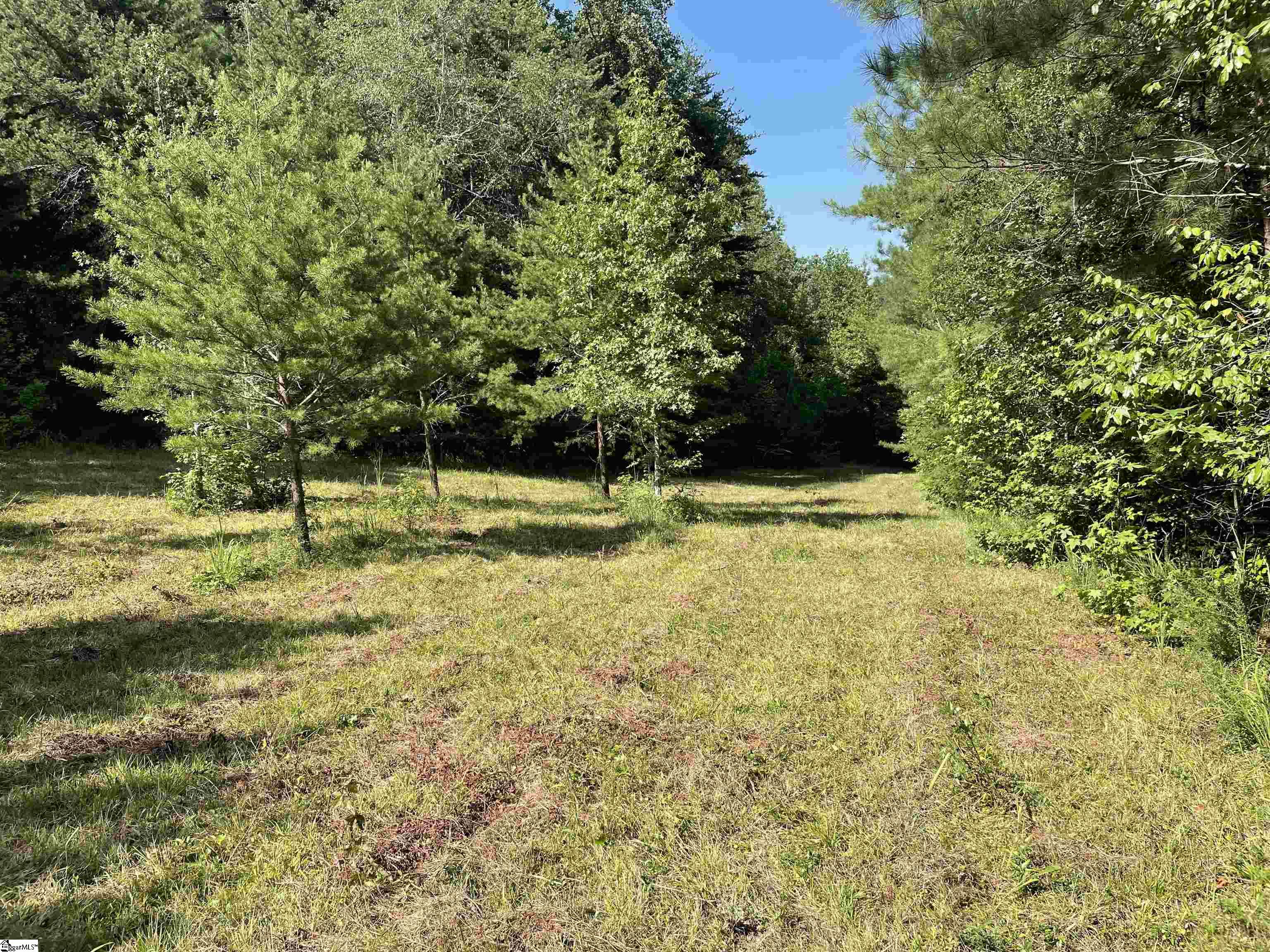 0 Mountain Creek Road Honea Path, SC 29654 - Photo 6 of 30