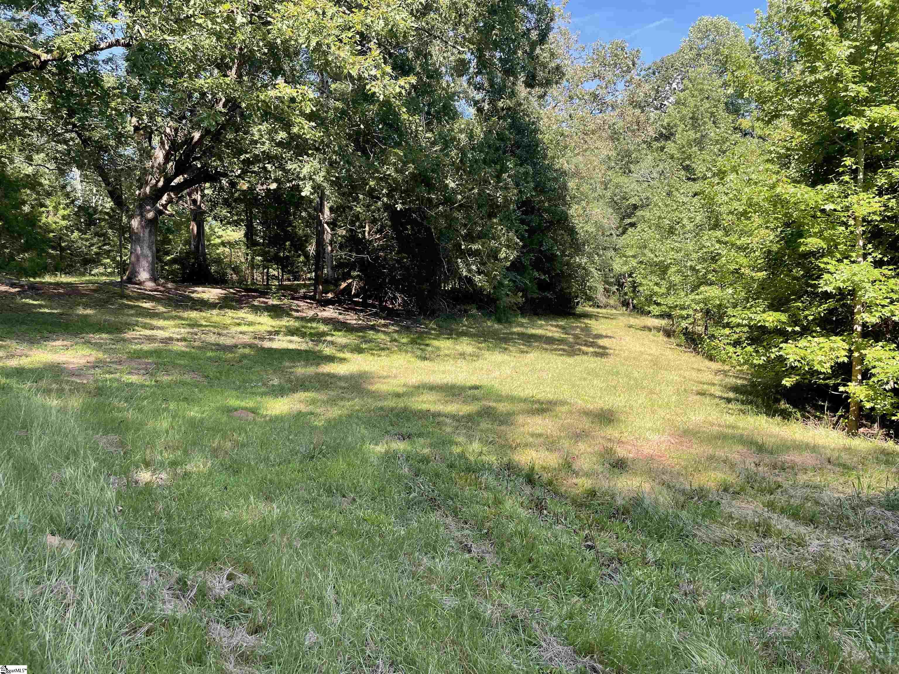 0 Mountain Creek Road Honea Path, SC 29654 - Photo 7 of 30