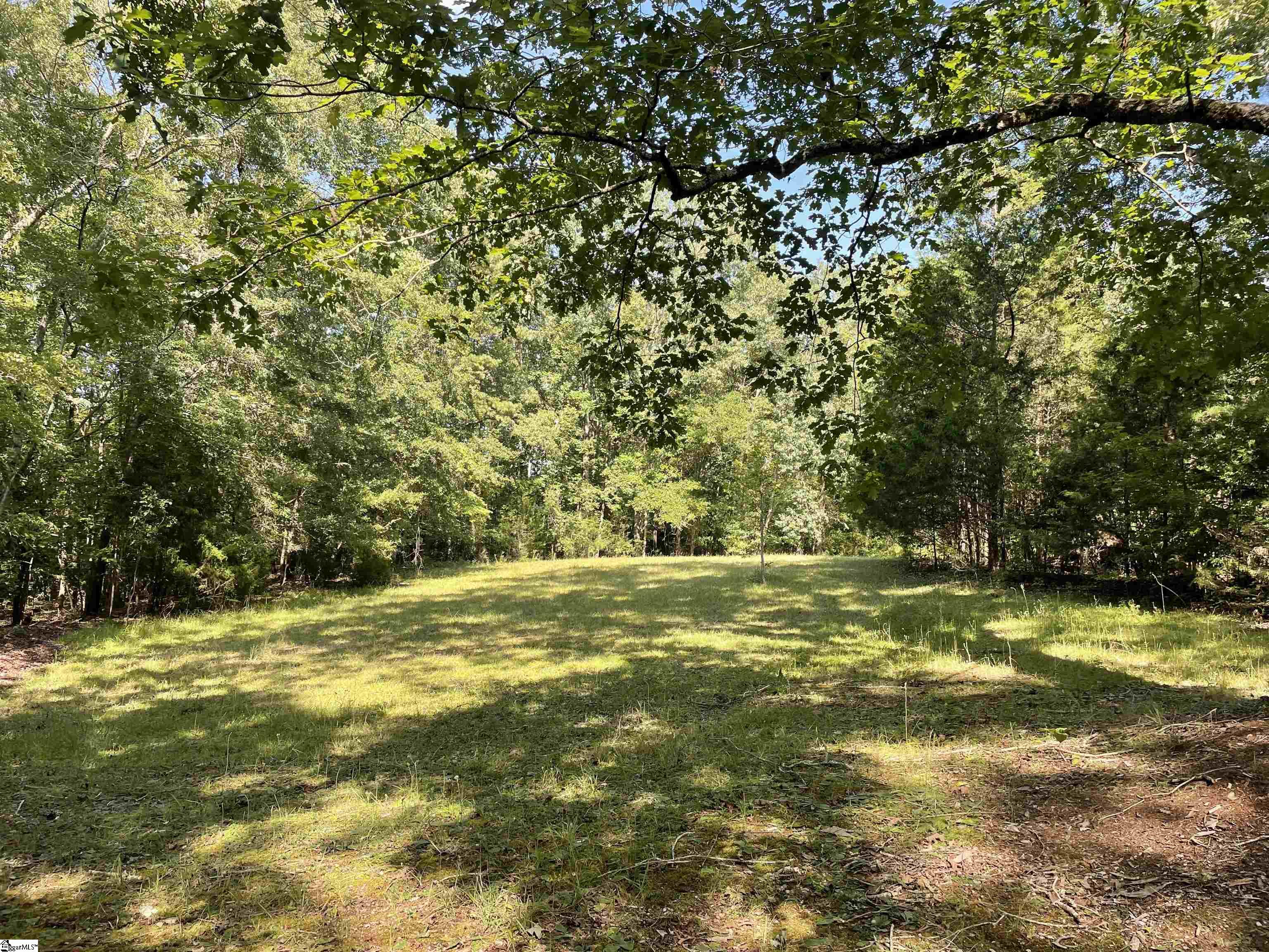 0 Mountain Creek Road Honea Path, SC 29654 - Photo 9 of 30