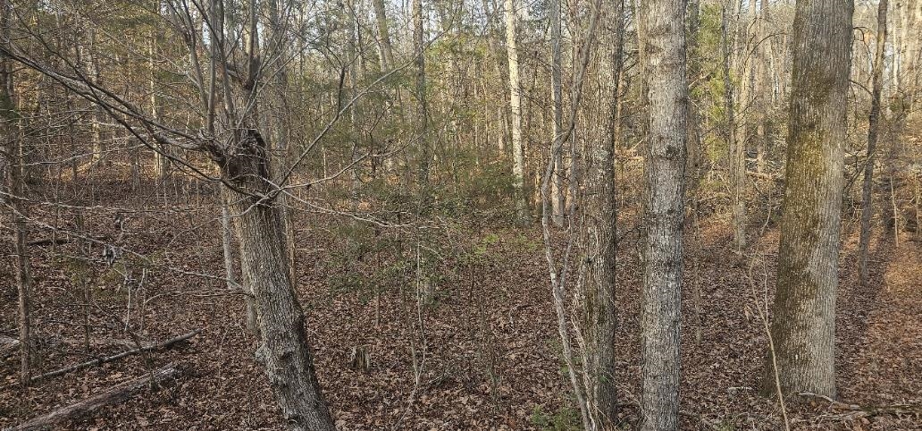 0 Bishop Road Pauline, SC 29374 - Photo 3 of 6