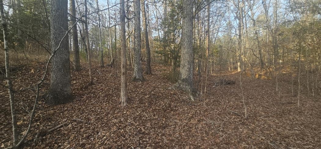 0 Bishop Road Pauline, SC 29374 - Photo 4 of 6