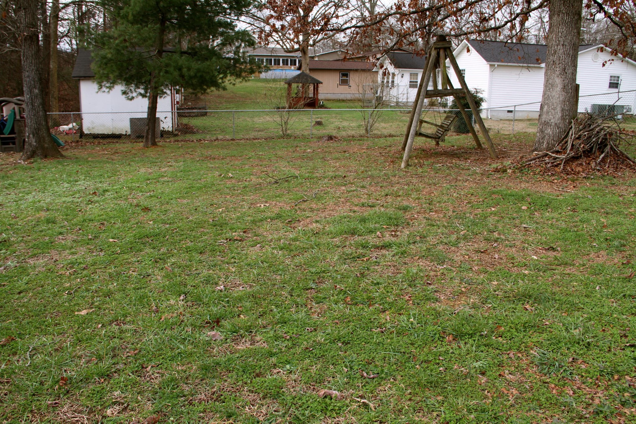 1111 Carding Machine Road Loudon, TN 37774 - Photo 15 of 21 a view of yard with tree