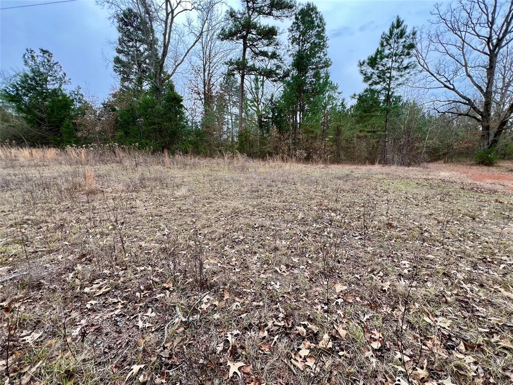 Tbd Cactus Road Pittsburg, TX 75686 - Photo 11 of 19 a view of backyard with green space