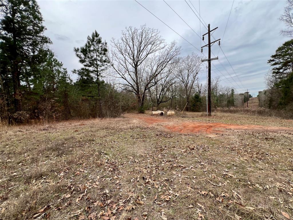 Tbd Cactus Road Pittsburg, TX 75686 - Photo 12 of 19 a view of outdoor space with trees