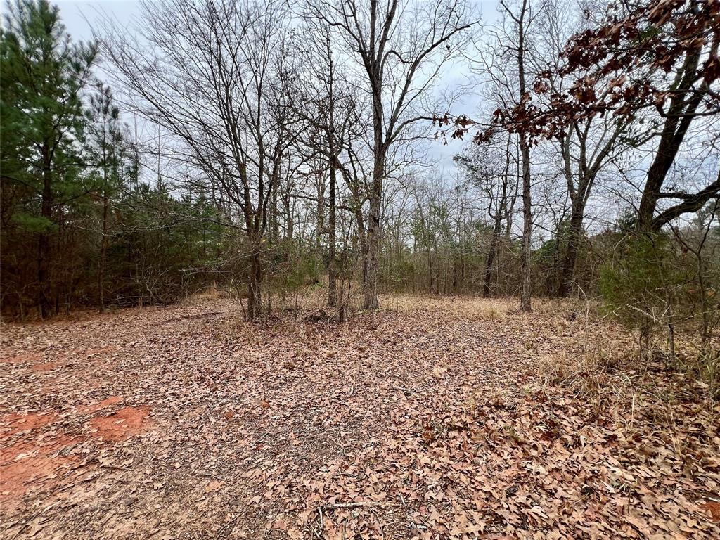 Tbd Cactus Road Pittsburg, TX 75686 - Photo 13 of 19 a view of a outdoor space