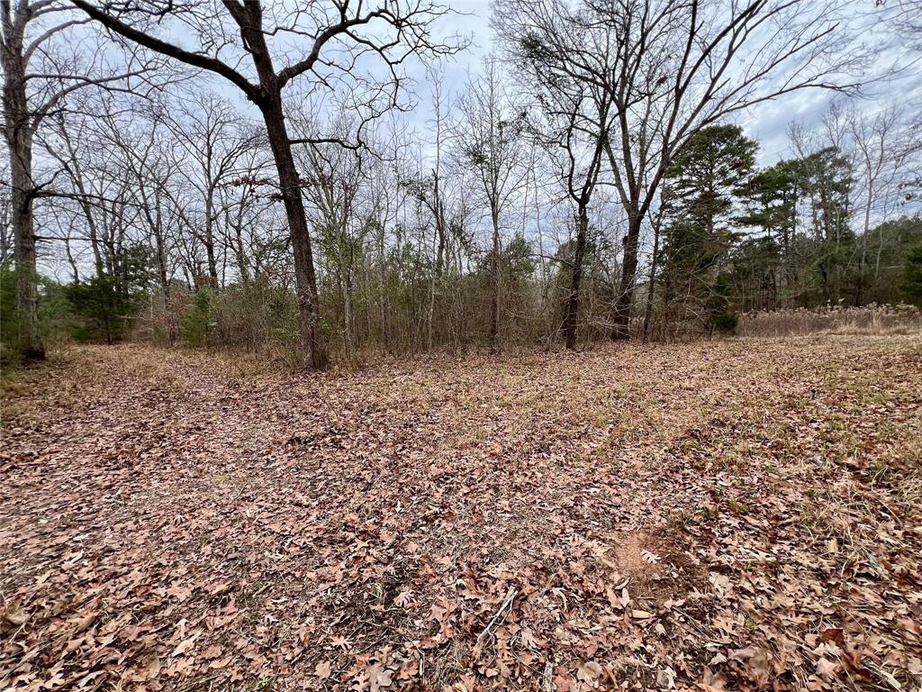 Tbd Cactus Road Pittsburg, TX 75686 - Photo 14 of 19 a view of a yard with trees