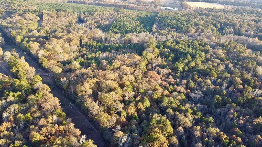 Tbd Cactus Road Pittsburg, TX 75686 - Photo 3 of 19 a view of a city