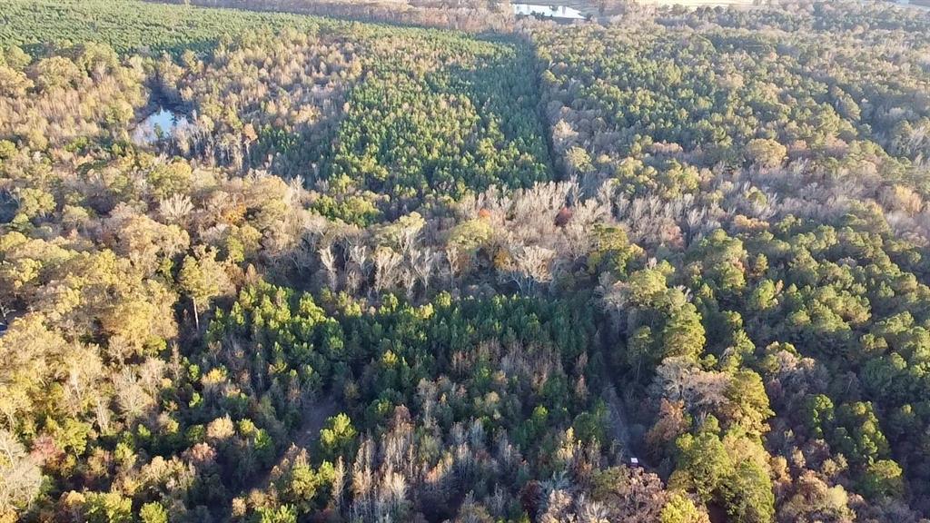 Tbd Cactus Road Pittsburg, TX 75686 - Photo 4 of 19 a backyard of a house