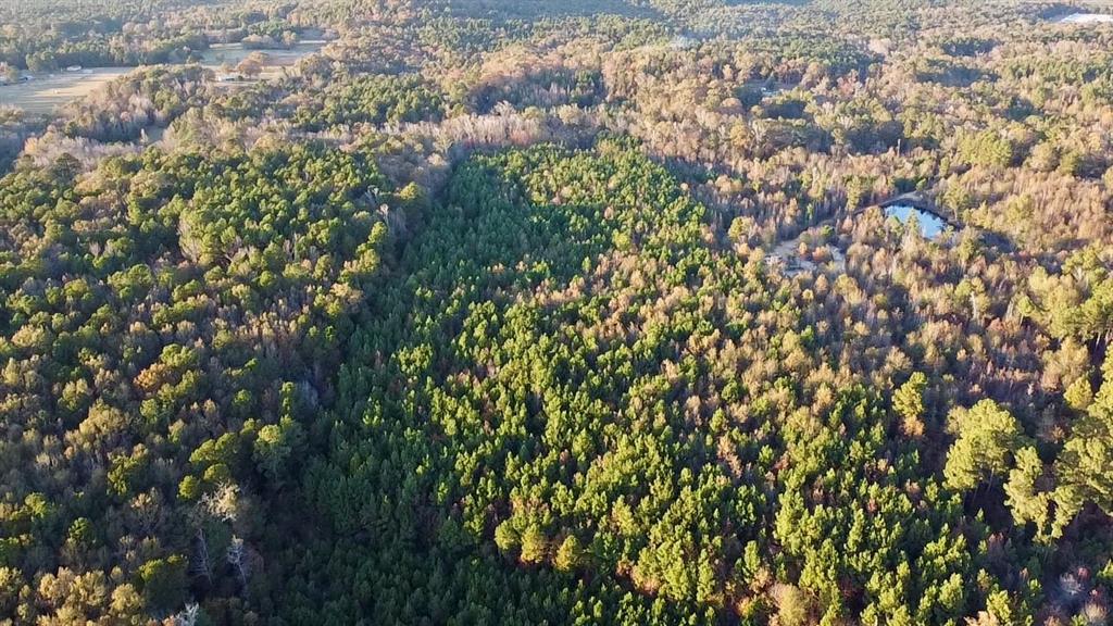 Tbd Cactus Road Pittsburg, TX 75686 - Photo 8 of 19