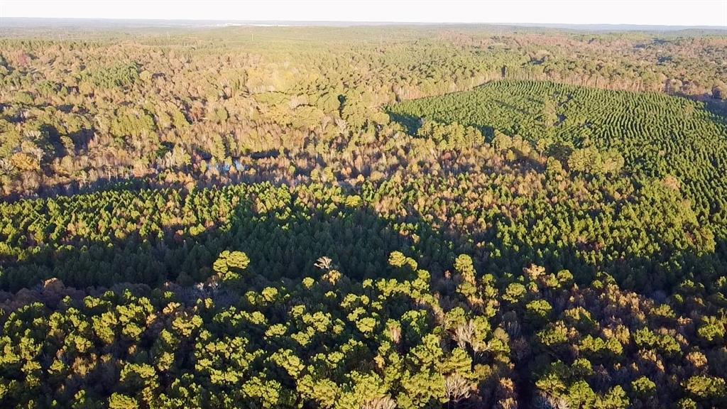 Tbd Cactus Road Pittsburg, TX 75686 - Photo 9 of 19 a view of a city