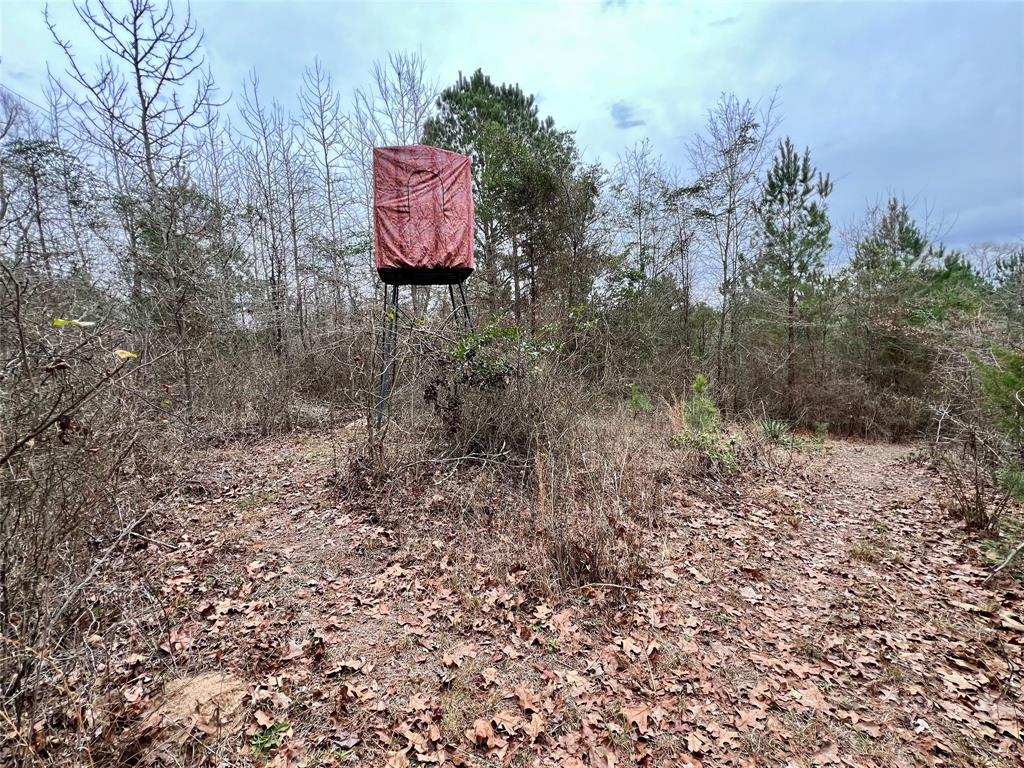 Tbd Cactus Road Pittsburg, TX 75686 - Photo 10 of 19 a house view with a backyard space