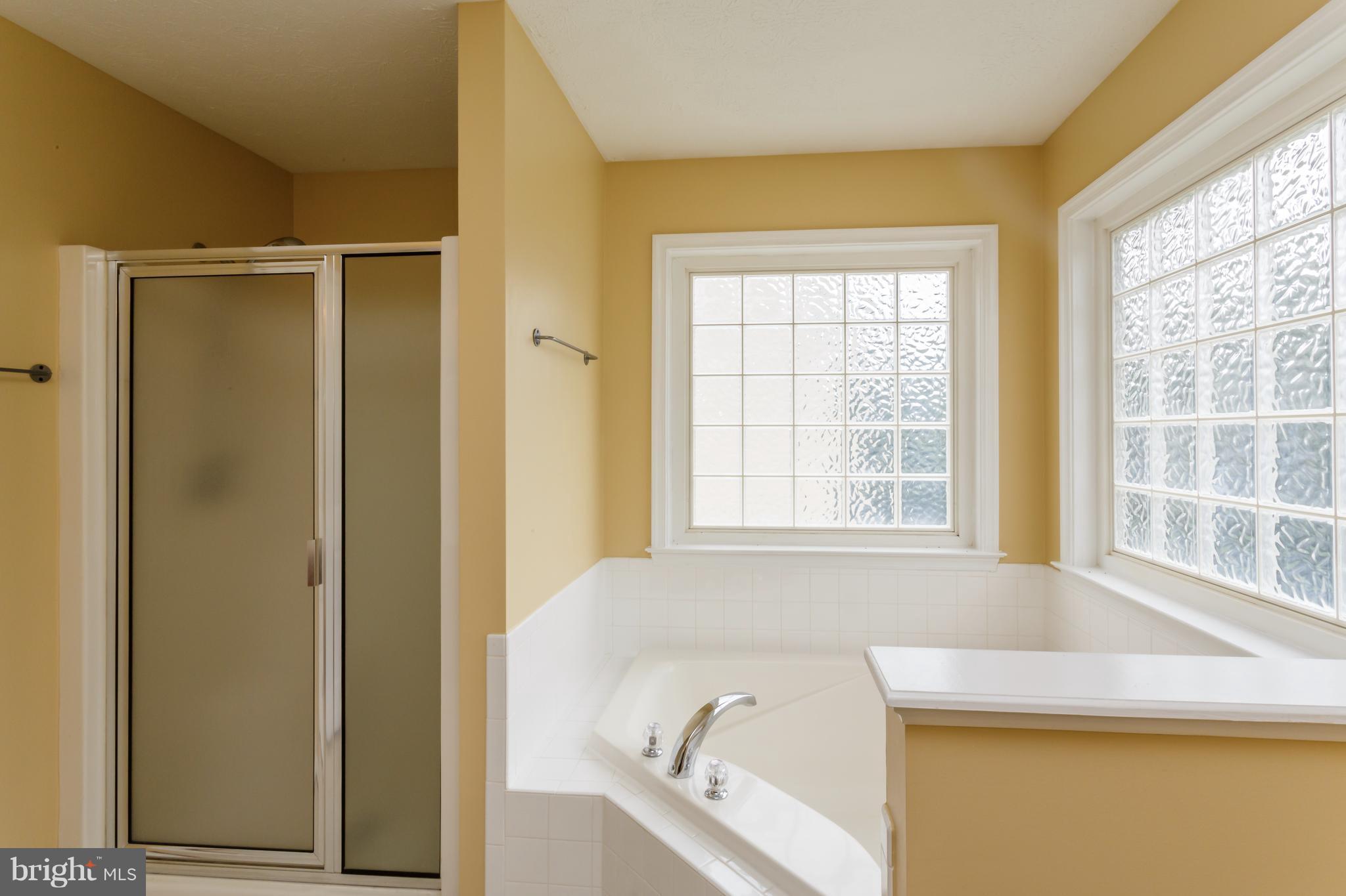 35250 Pheasant Ridge Road Locust Grove, VA 22508 - Photo 12 of 30 Bath (Master)