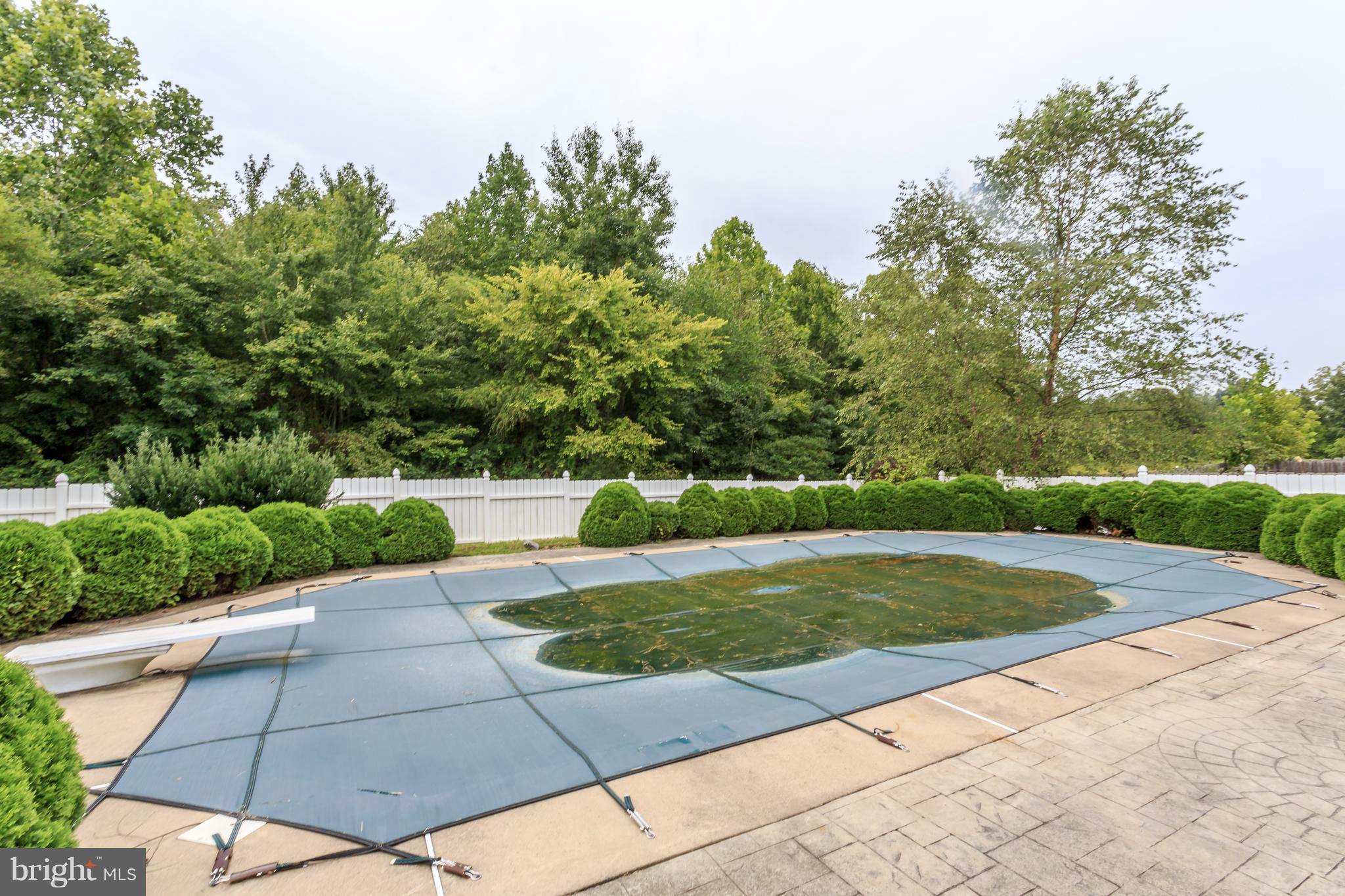 35250 Pheasant Ridge Road Locust Grove, VA 22508 - Photo 27 of 30 View of pool