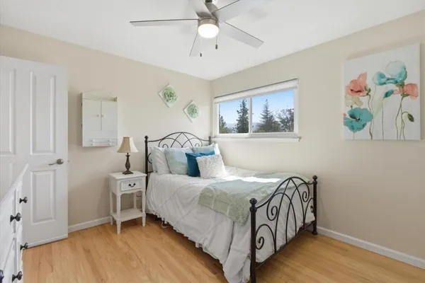 a view of back yard of the house