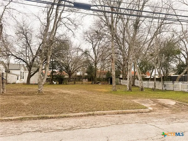 a view of a yard with a trees